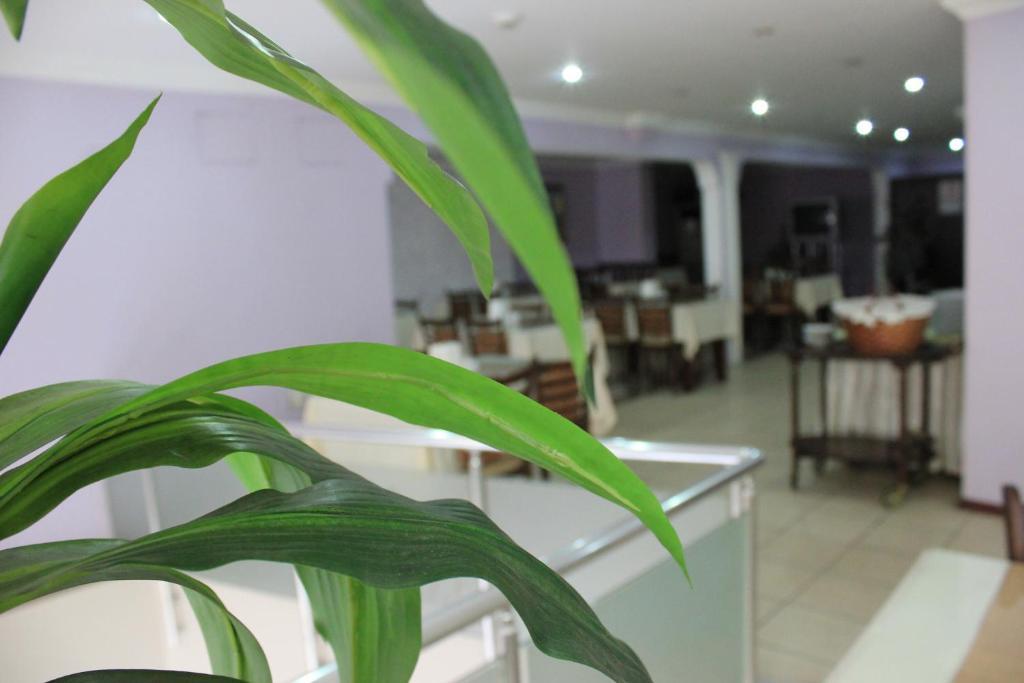 Nazar Hotel Trabzon Zewnętrze zdjęcie